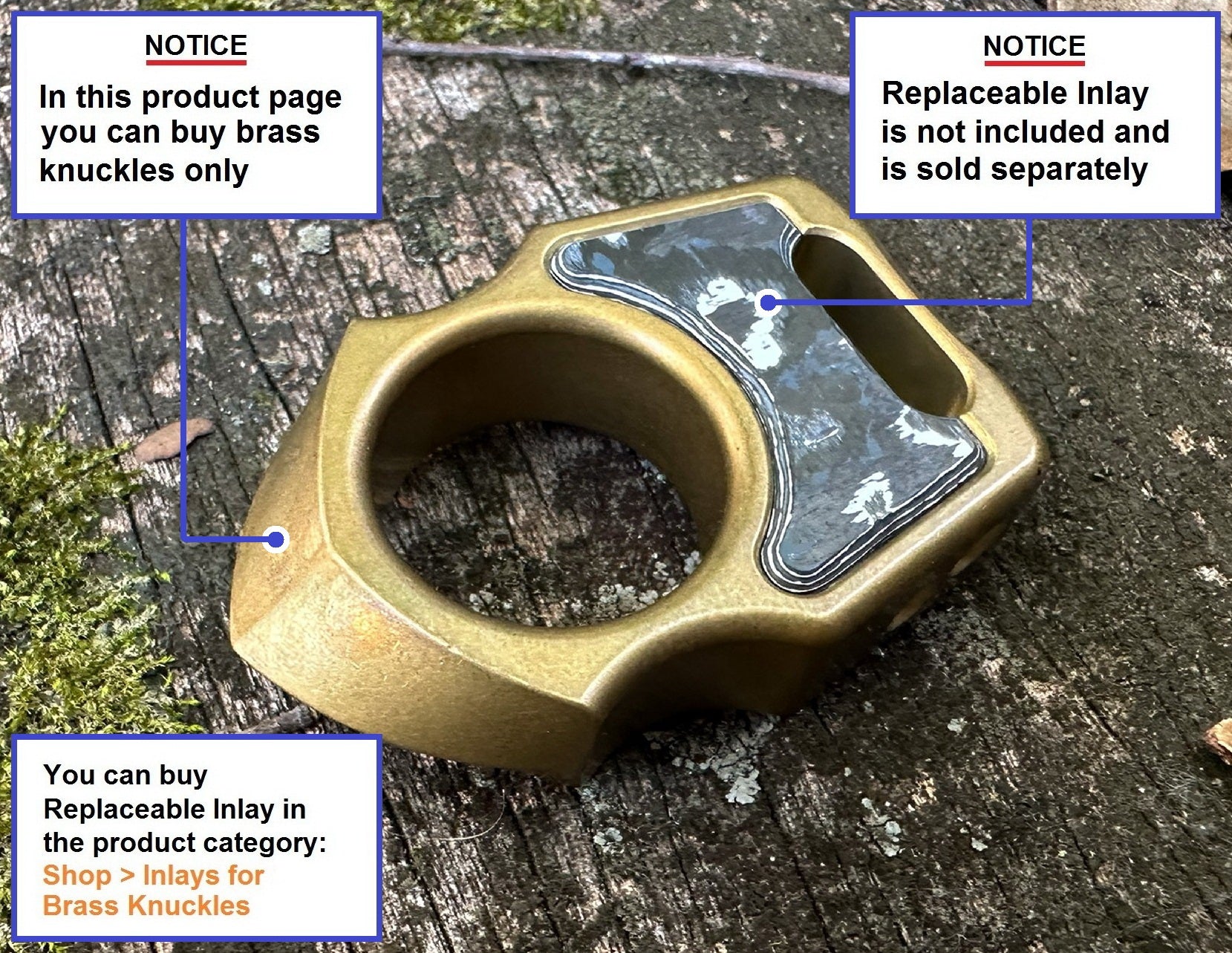 Semi-Custom Brass Bottle Opener Keychain Swampy Shark