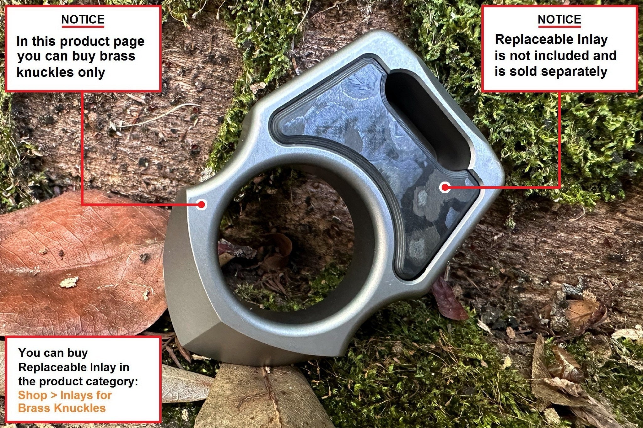 Semi-Custom Titanium EDC Keychain Swampy Shark