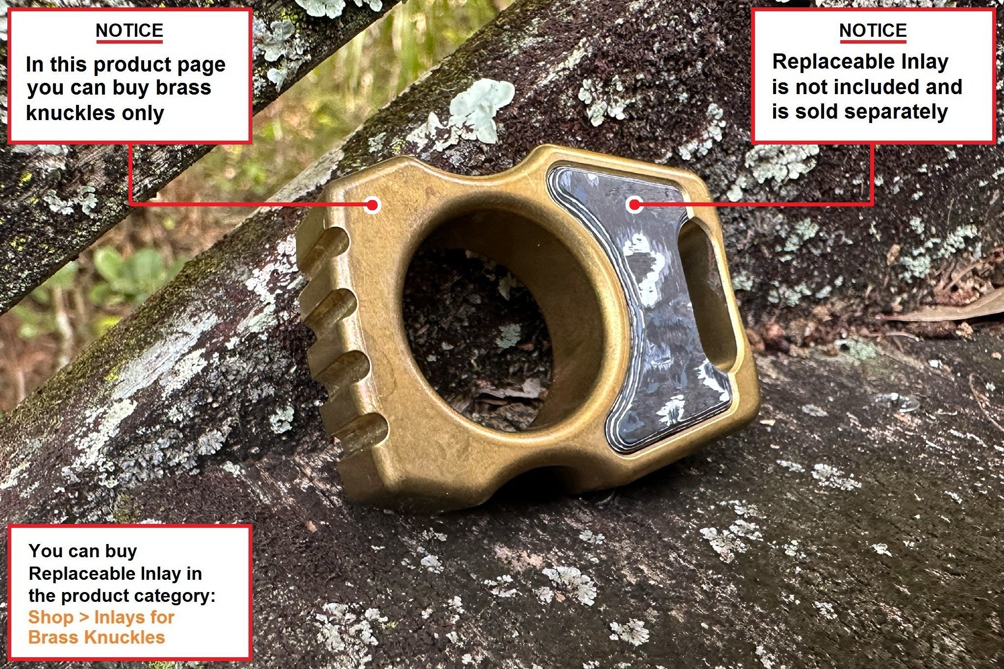 Semi-Custom Brass EDC Bottle Opener Keychain Swampy Whale